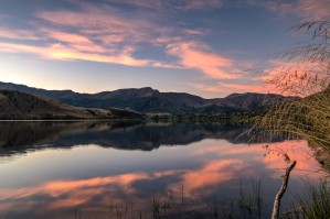 Reflections of Hayes
